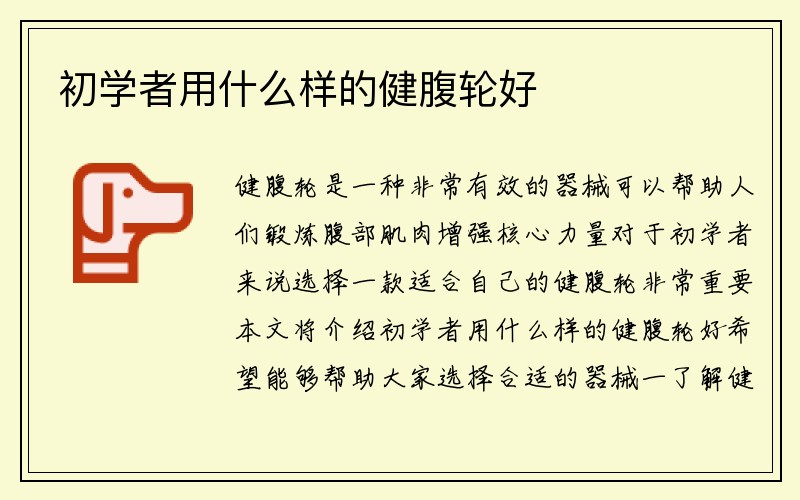 初学者用什么样的健腹轮好