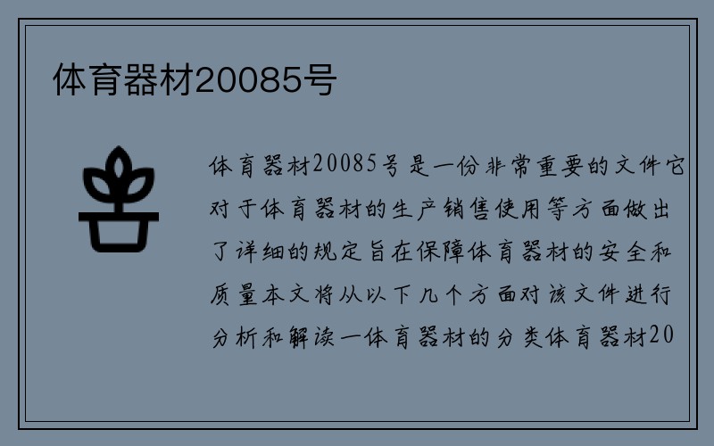 体育器材20085号