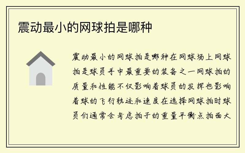 震动最小的网球拍是哪种