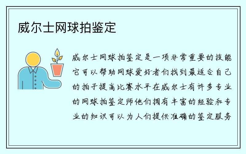 威尔士网球拍鉴定